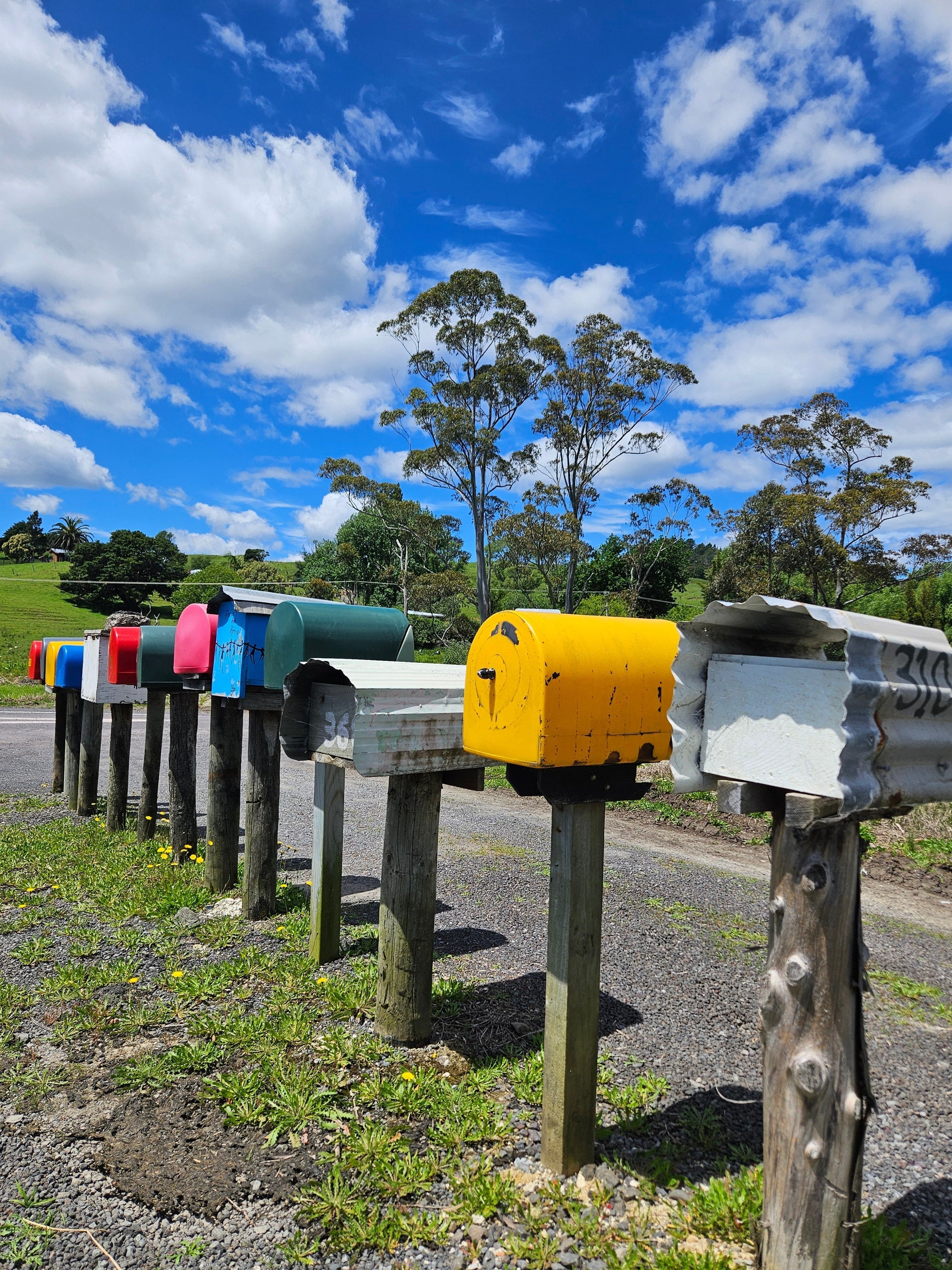 Linda Gair - The Residency - Week Five