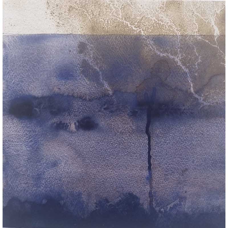 Collection Image