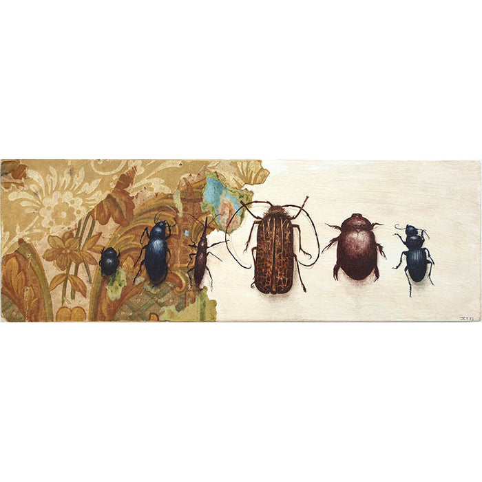 All my Bugs in a Row
