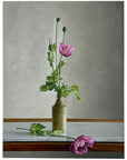 December: Poppies