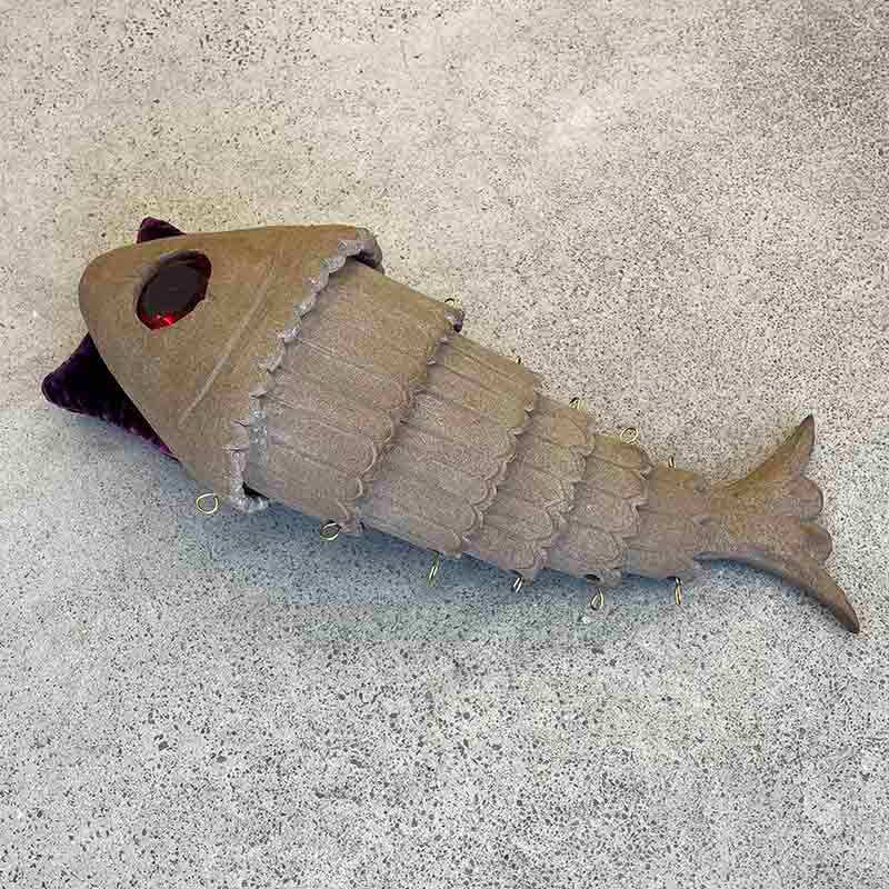 Fish