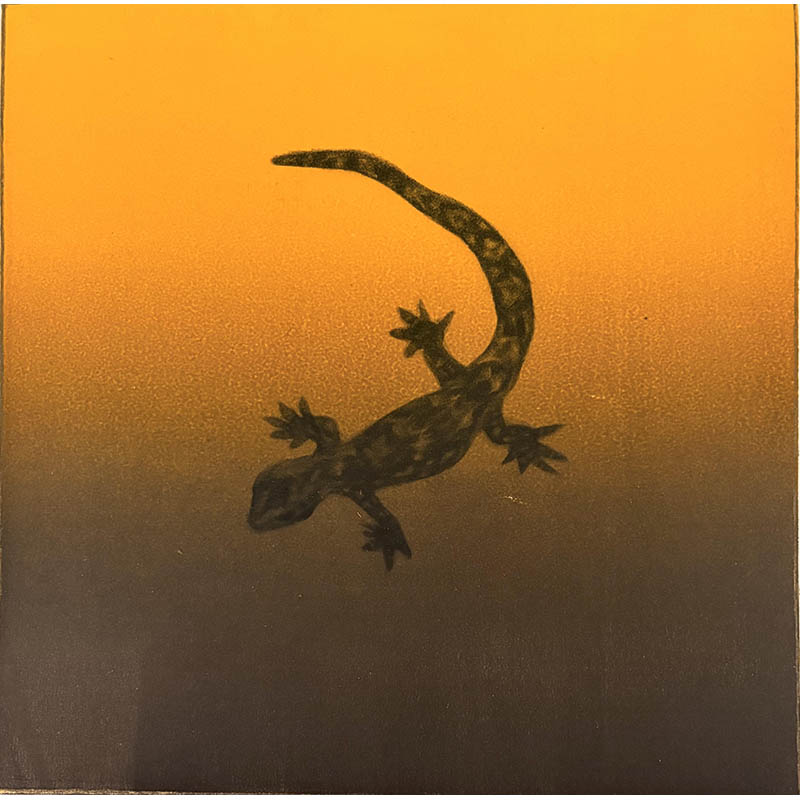 Gecko 1