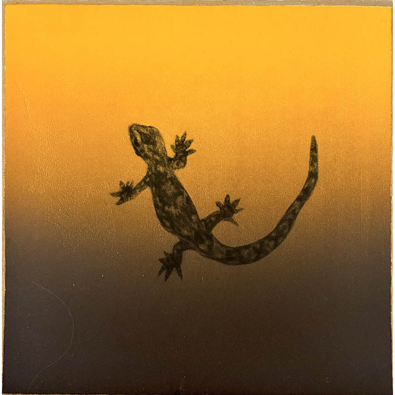 Gecko II
