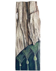 Guardian of the Understorey