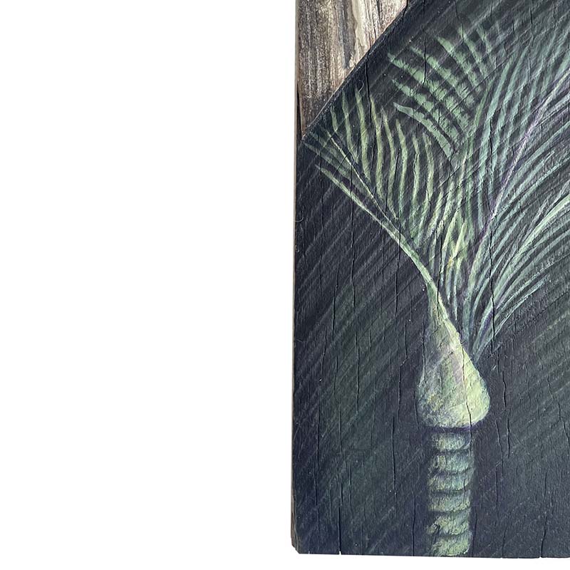 Guardian of the Understorey