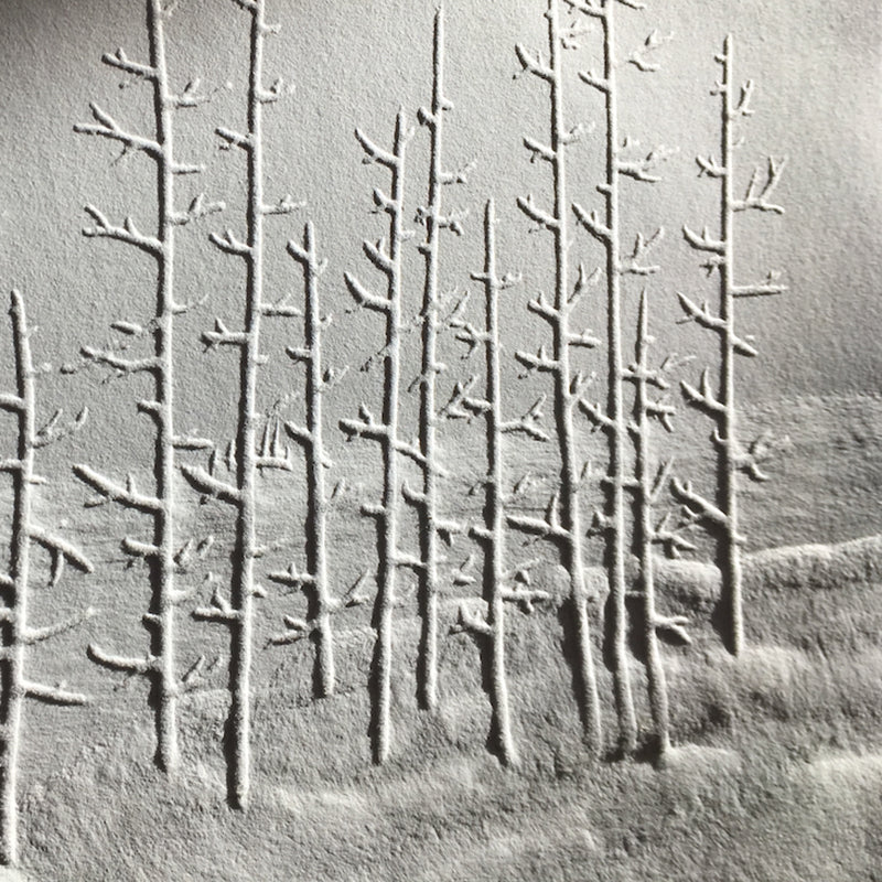 Embossing with Kyla Cresswell - Friday 30th October 1-4pm