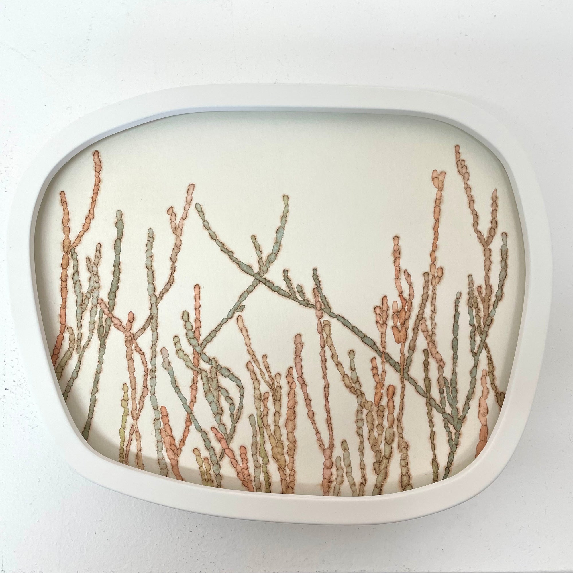 Edge dweller - beaded glasswort I  2/4 VE