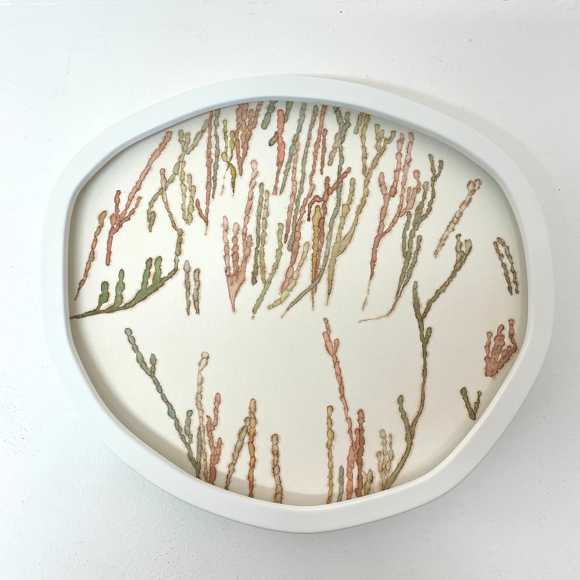 Edge dweller - beaded glasswort II 2/4 VE
