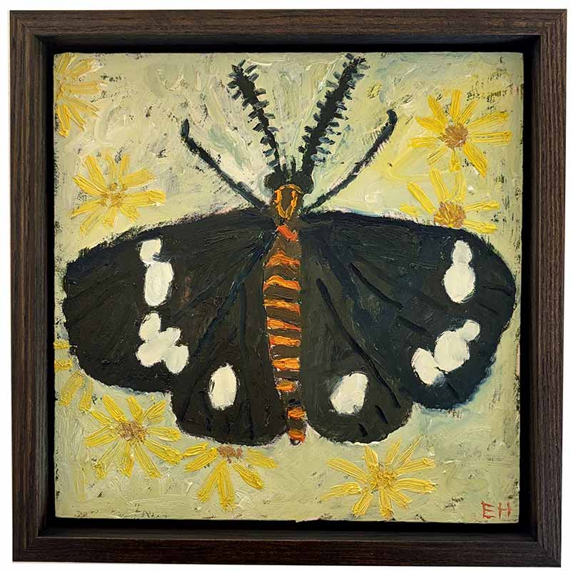 Magpie moth