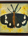 Magpie moth