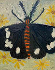 Magpie moth