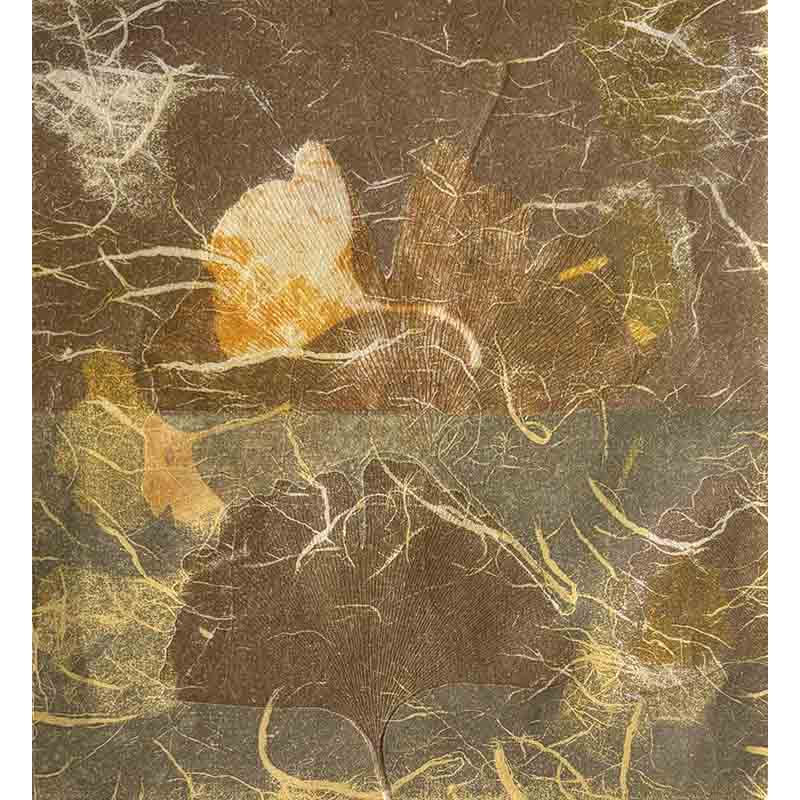 Collection Image