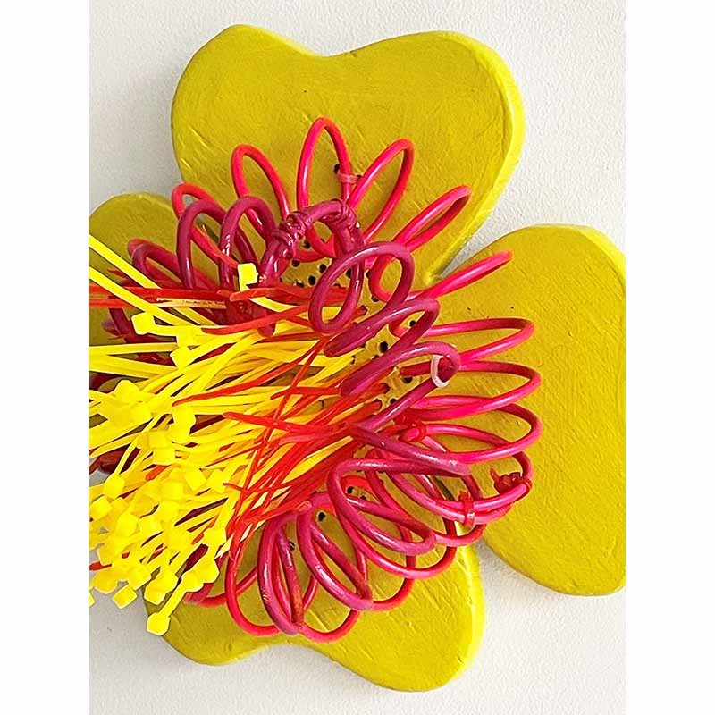Pasifika Blooms 