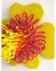 Pasifika Blooms 