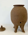 Pig pot