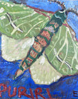 Puriri moth