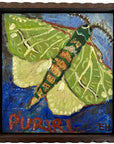 Puriri moth