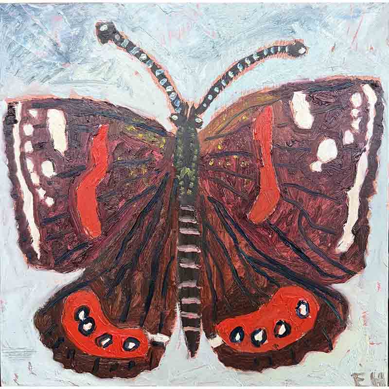 Red Admiral