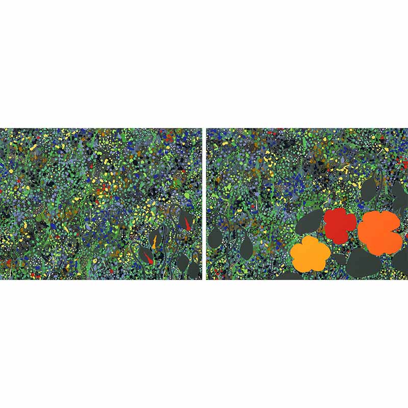 Twilight Sleep with Nasturtium