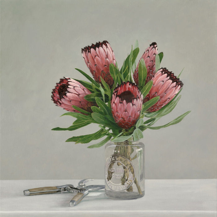 Still life with Protea