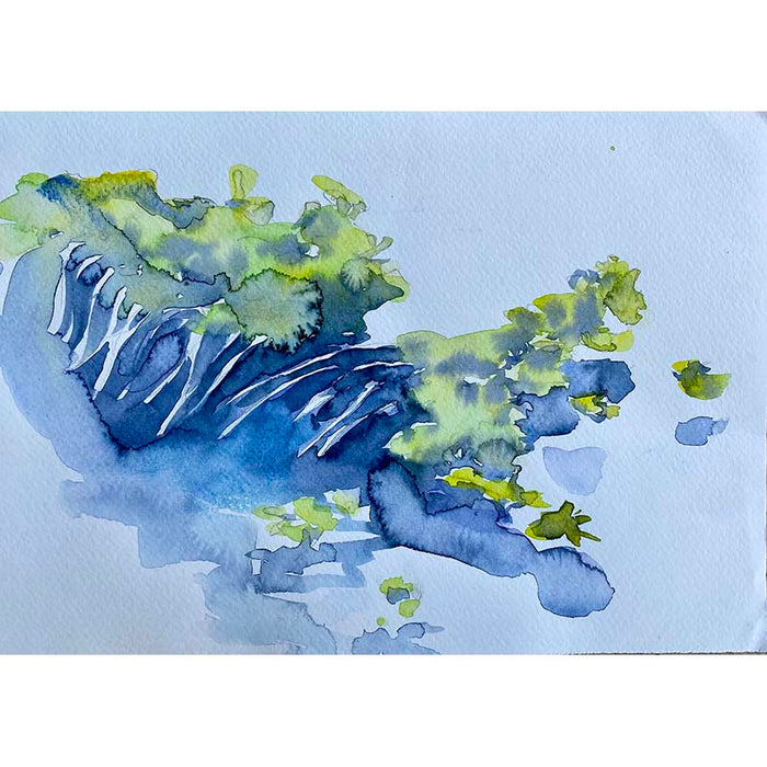 The Pond, study 1