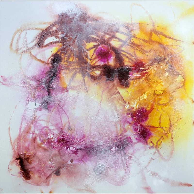Collection Image