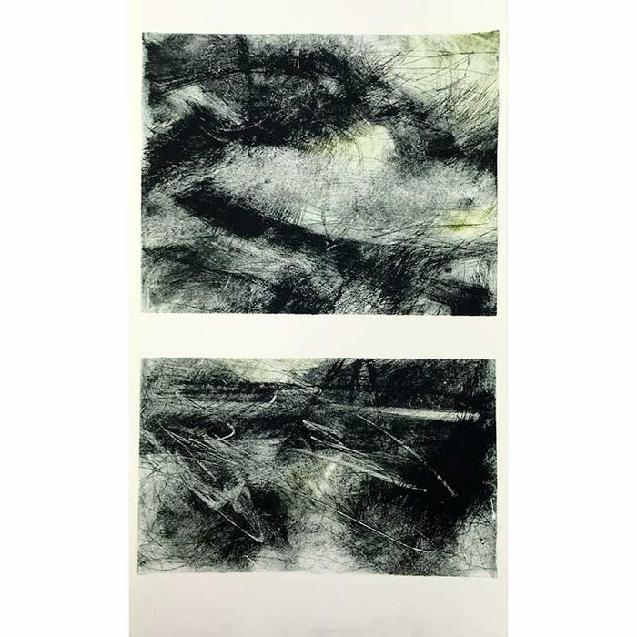 Wetland 7