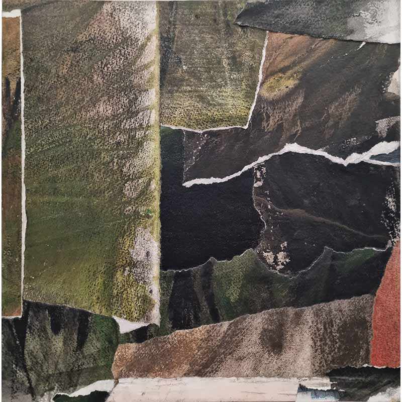 To the hedgerow